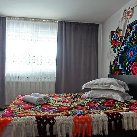La Dory Gazde/Camere de închiriat Satu Sugatag